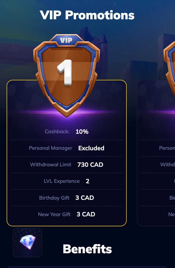 RioAce Overview